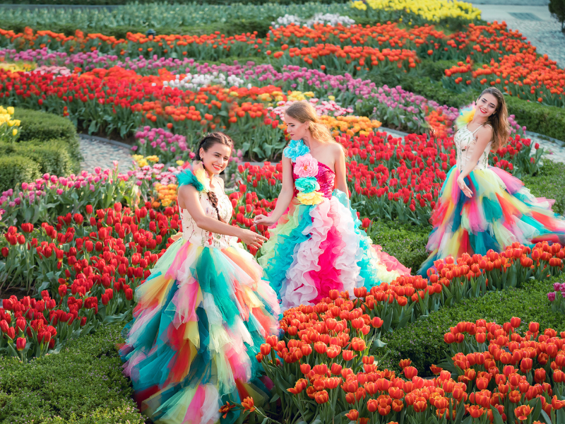 Sun World Ba Na Hills Lần Đầu Ươm Trồng 1 Triệu Tulip Trên Đỉnh Núi Đón Tết Nguyên Đán 2026